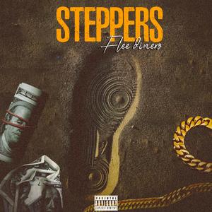 Steppers