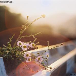 大田后生仔 (Dj版)