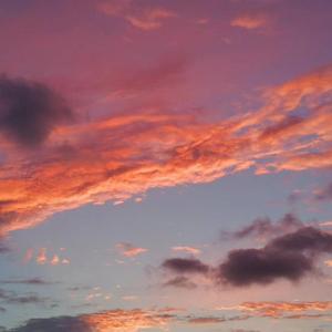 那些花儿-致朋友