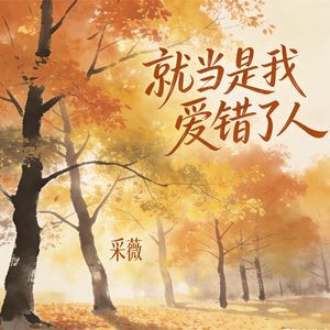 就当是我爱错了人