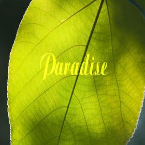 Paradise