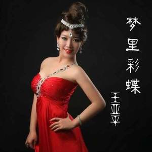 再泊枫桥