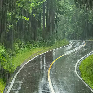 雨·路