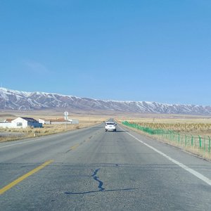 承诺只在爱时作数