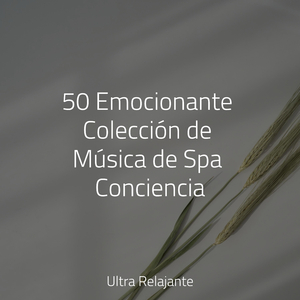 Camino De La Cola De Algodón