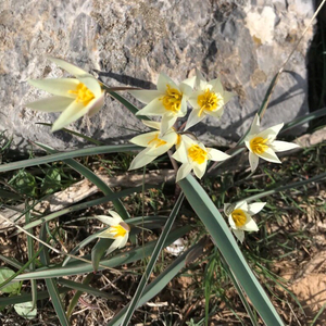 Исполнение желаний