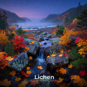 Lichen