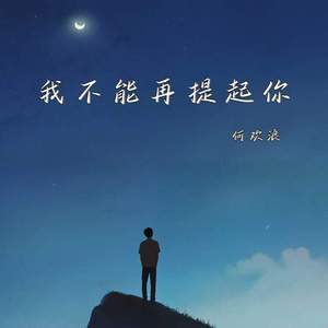 我不能再提起你