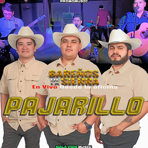 Pajarillo (En Vivo)