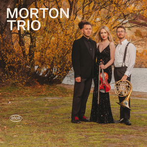 Brahms Horn trio Op.40 M2 Scherzo:Allegro