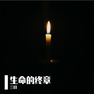 生命的终章