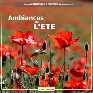 Dectiques à front blanc