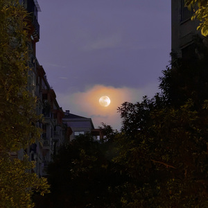 夜晚的微风（轻音乐）