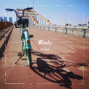 Windy