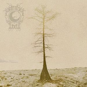 Midnight Southern Folklore