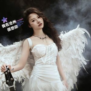 我在沧州很想你