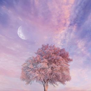 忆起Melody guitar beat