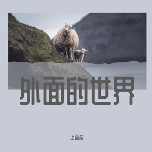 千里共婵娟