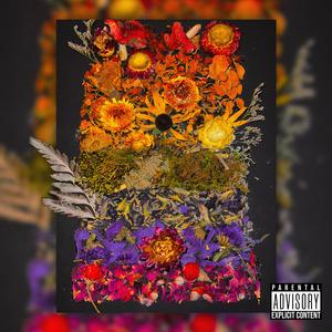 Baked Up (feat. BRINK)