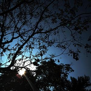 the girl next door-ON TOP（Killer Number 5 remix）