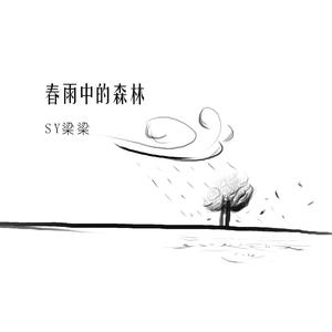春雨中的森林