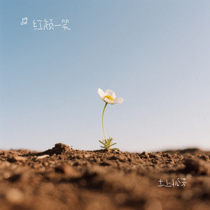 土上孤芳