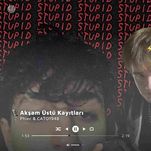 Aksam Ustu Kayitlari