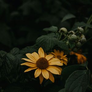 自检书（prod by jeston）