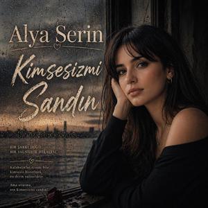 Kimsesizmi Sandın