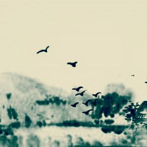 一眨眼一年又快过完了