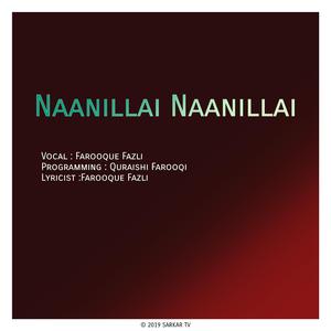 Naanillai Naanillai