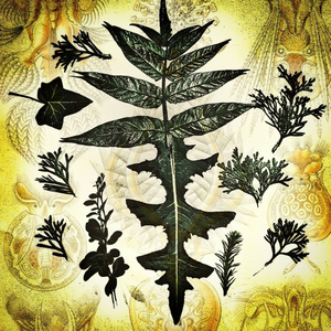 Heracleum (feat. Radio Nichto)