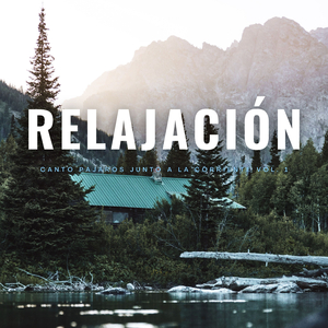Satisfactoria Corriente De Agua