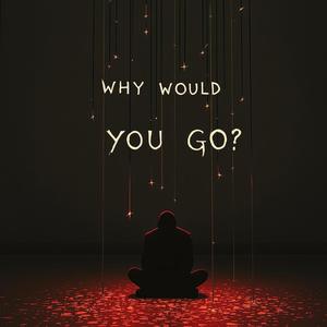Why Would You Go