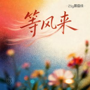 等风来