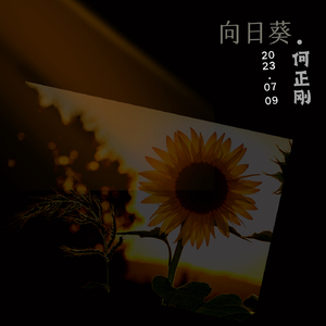 向日葵.domo版本