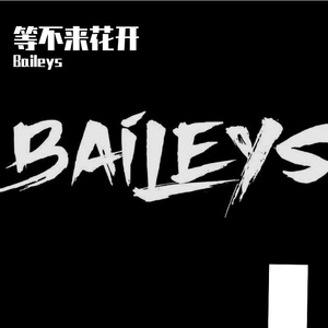 Baileys-等不来花开（Baileys remix）