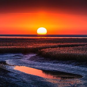 火红的萨日朗（加速）