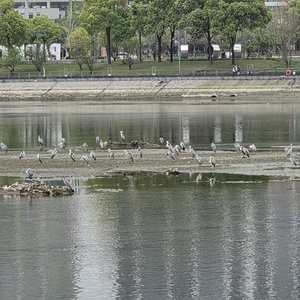 讚美之泉30週年巡迴 KICK-OFF EVENT