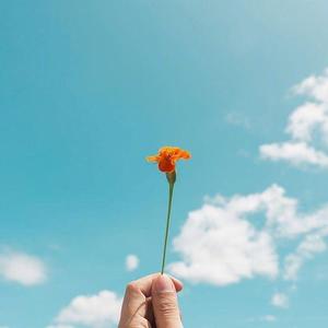 如果的事（抖音版）