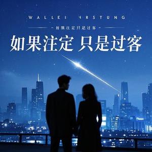 如果注定只是过客