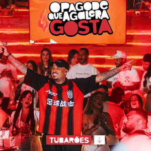 Tubarões (O Pagode Que a Galera Gosta) (Ao Vivo)
