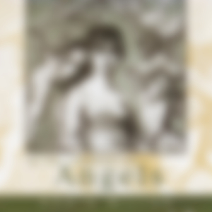 In the Company of Angels