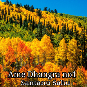 Ame Dhangra No1
