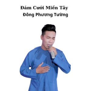 Sao Phụ Tình Anh