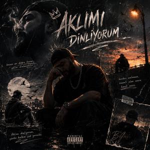 Aklımı Dinliyorum
