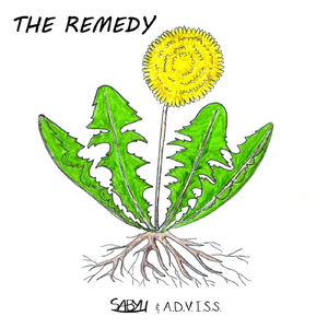 The Remedy
