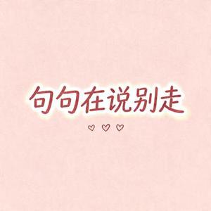 句句在说别走 (风无念 Remix)