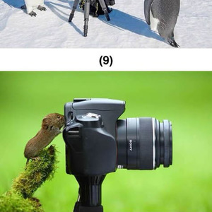 Don't Be Messin' 'Round (sped up)