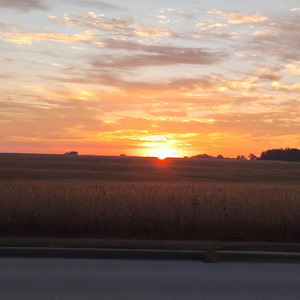 Peace and Love on the Planet Earth (Instrumental)